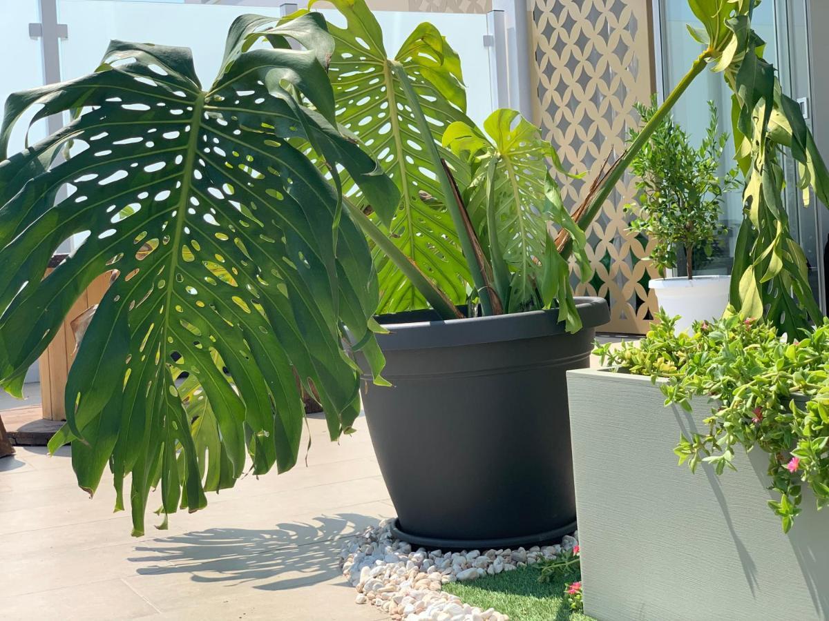 Dalu Suite Terrace Bari Bagian luar foto